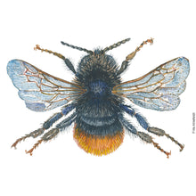 Load image into Gallery viewer, Dw01287 Original Red-tailed bumblebee watercolor