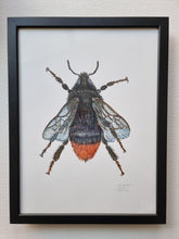 Load image into Gallery viewer, Dw01288 Original Red-tailed bumblebee watercolor