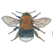 Load image into Gallery viewer, Dw01289 Original Tree bumblebee watercolor