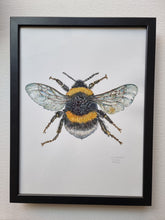 Load image into Gallery viewer, Dw01291 Original White-tailed bumblebee watercolor