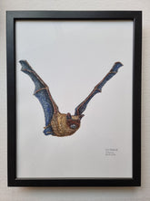 Load image into Gallery viewer, Dw01293 Original Common noctule bat watercolor