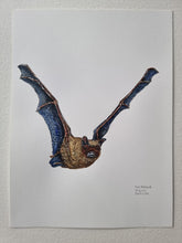 Load image into Gallery viewer, Dw01293 Original Common noctule bat watercolor