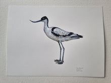 Load image into Gallery viewer, Dw01297 Original Pied avocet watercolor