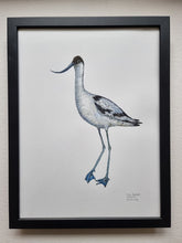 Load image into Gallery viewer, Dw01298 Original Pied avocet watercolor