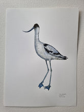 Load image into Gallery viewer, Dw01298 Original Pied avocet watercolor