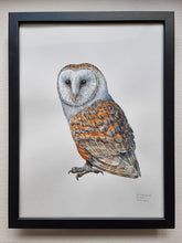 Load image into Gallery viewer, Dw01301 Original Barn owl watercolor