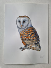 Load image into Gallery viewer, Dw01301 Original Barn owl watercolor