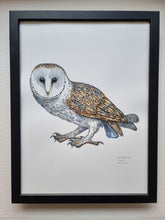 Load image into Gallery viewer, Dw01303 Original Barn owl watercolor