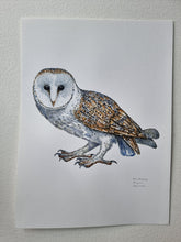 Load image into Gallery viewer, Dw01303 Original Barn owl watercolor