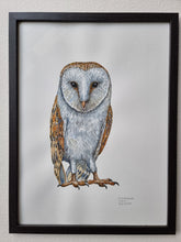 Load image into Gallery viewer, Dw01304 Original Barn owl watercolor