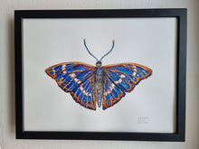 Load image into Gallery viewer, Dw01306 Original Lesser purple emperor butterfly