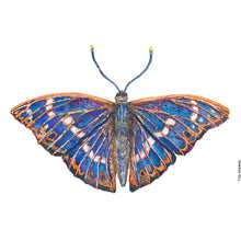 Load image into Gallery viewer, Dw01306 Original Lesser purple emperor butterfly