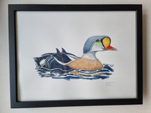 Load image into Gallery viewer, Dw01324 Original King eider watercolor