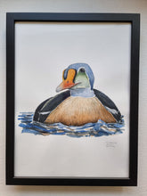 Load image into Gallery viewer, Dw01325 Original King eider watercolor