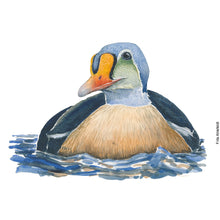 Load image into Gallery viewer, Dw01325 Original King eider watercolor