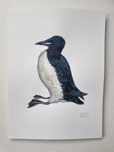 Load image into Gallery viewer, Dw01327 Original Thick-billed murre watercolor