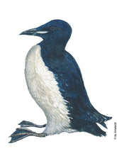 Load image into Gallery viewer, Dw01327 Original Thick-billed murre watercolor