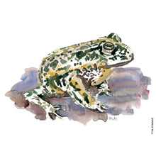 Load image into Gallery viewer, Dw01029 Original A4 Frog