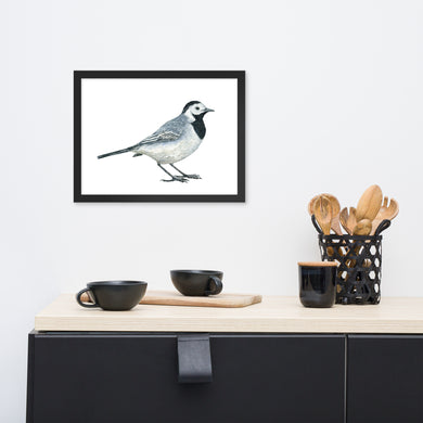 Dw00887 Wagtail bird framed art-poster watercolor by Frits Ahlefeldt