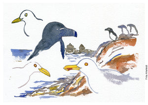 Original Ert119 Birds christiansø watercolor A5