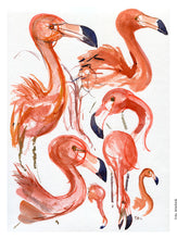 Load image into Gallery viewer, ZOO-001 Flamengo watercolor