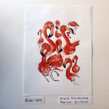 Load image into Gallery viewer, ZOO-002 Flamengo watercolor