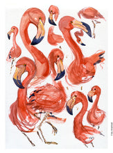 Load image into Gallery viewer, ZOO-002 Flamengo watercolor