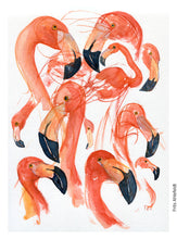 Load image into Gallery viewer, ZOO-003 Flamengo watercolor