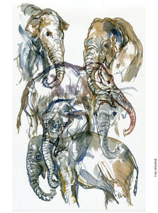 ZOO-007 Original elephant watercolor