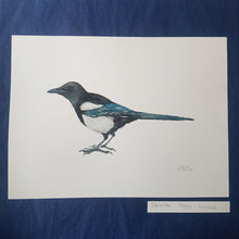 Load image into Gallery viewer, Dw00480 Original European magpie watercolor