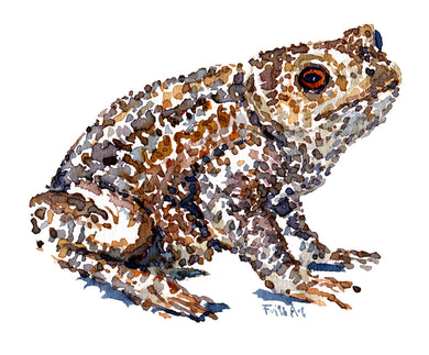 Common Toad watercolor by Frits Ahlefeldt