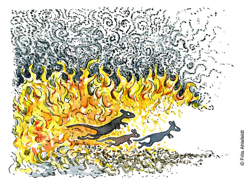 Di00324 download Kangaroo jump out of wildfire illustration