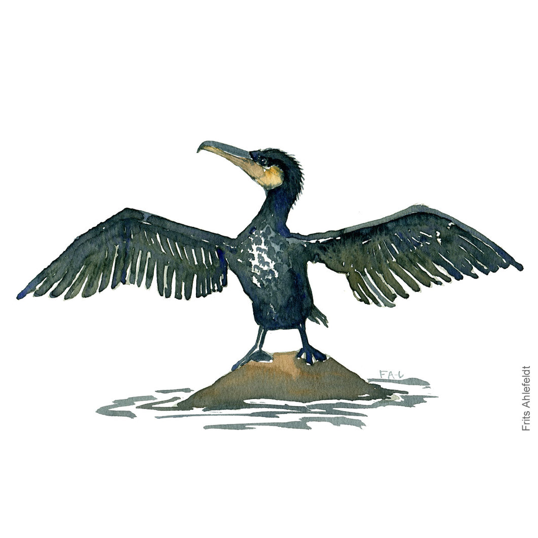 Dw00076 Download Great cormorant bird wings watercolor