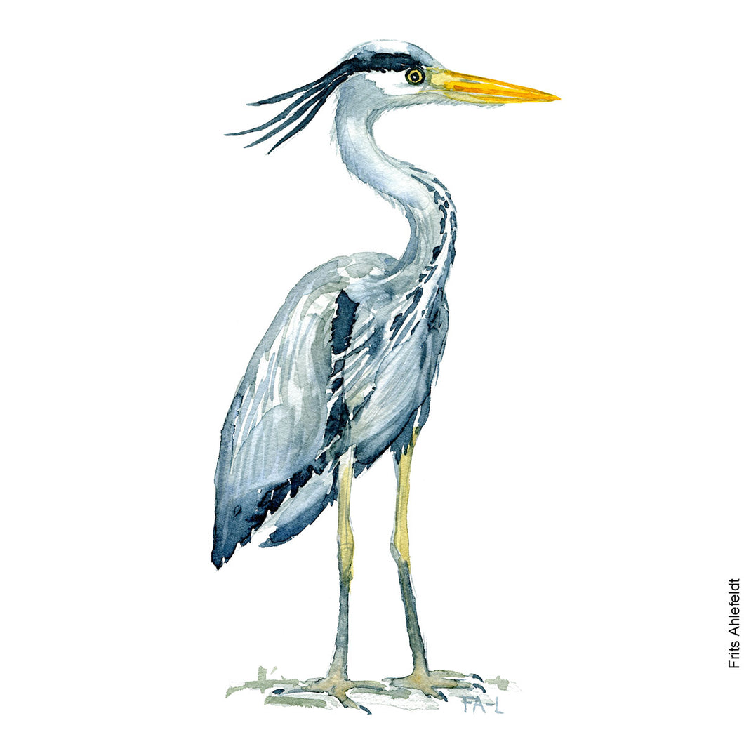 Dw00079 Download Grey heron bird watercolor