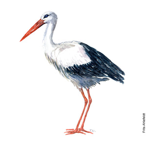Dw00082 Download White stork bird watercolor