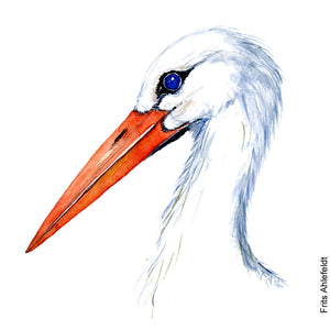 Dw00083 Download White stork bird head watercolor