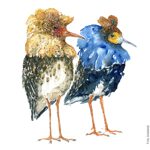 dw00105 Two ruff birds watercolor