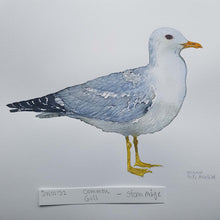 Load image into Gallery viewer, dw00132 Common gull Original watercolor