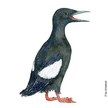 Load image into Gallery viewer, Dw00191 Original A4 Black guillemot watercolor