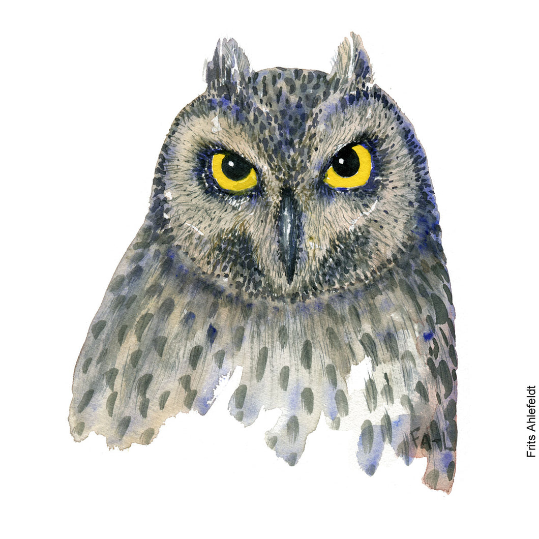 Dw00219 Download Eurasian Eagle owl (Stor Hornugle) watercolour