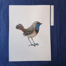 Load image into Gallery viewer, Dw00239 Original Bluethroat bird watercolor