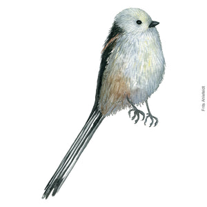 Dw00255 Download Long-tailed tit  (Halemejse) watercolour