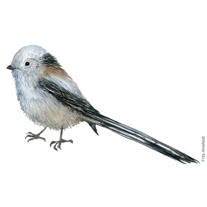 Dw00256 Download Long-tailed tit  (Halemejse) watercolour