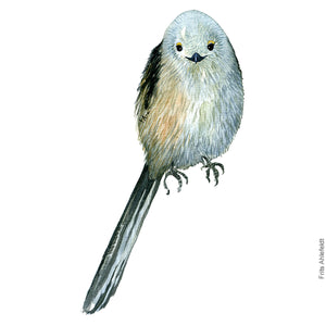 Dw00258 Download Long-tailed tit  (Halemejse) watercolour