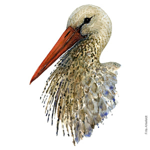 Dw00277 Download White stork (Hvid stork) watercolour