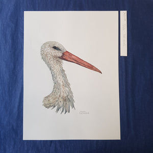 Dw00279 Original White stork watercolor