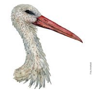 Dw00279 Original White stork watercolor