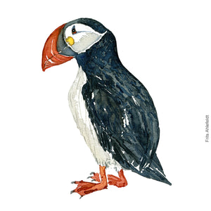 Dw00318 Download Atlantic puffin (Lunde) watercolour