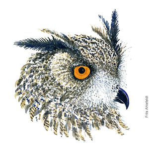 Dw00332 Download Eurasian eagle owl (Stor hornugle) watercolour