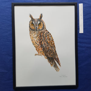 Dw00338 Original Long-eared owl watercolor